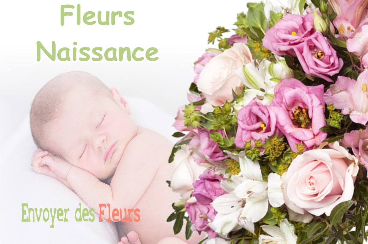 lIVRAISON FLEURS NAISSANCE à TENCIN